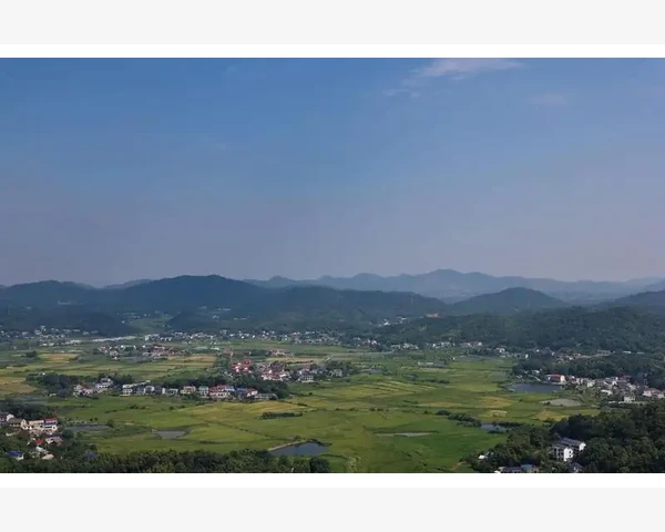 气血不足：探究疾病根源及中医调理之道